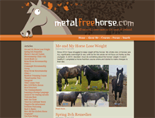 Tablet Screenshot of metalfreehorse.com